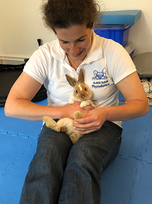 Kaninchen in Therapie